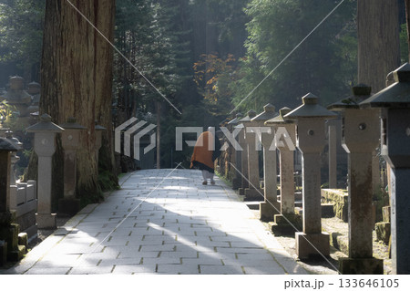 高野山 奥之院 参道 高野山 奥之院 参道 133646105
