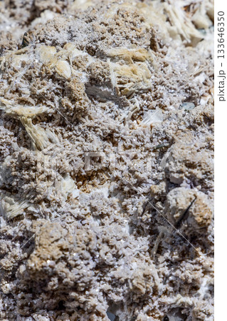 Dense gypsum fibrous crystal aggregate mineral in detailed macro view with sparkling texture Dense gypsum fibrous crystal aggregate mineral in detailed macro view with sparkling texture 133646350