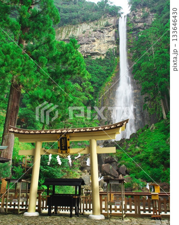 深緑に包まれた那智の滝を観覧舞台から望む 深緑に包まれた那智の滝を観覧舞台から望む 133646430