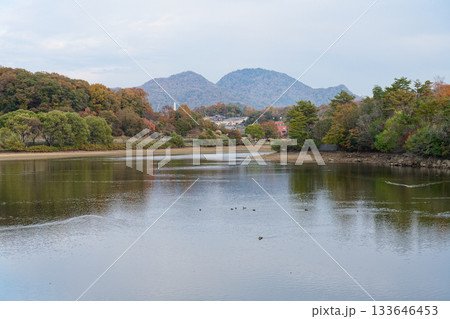 福島大池 133646453