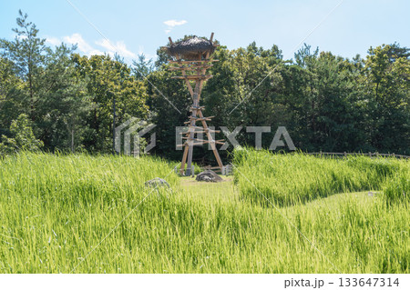 Ghibli Park, Aichi, Nagakute, Ibaragabasama, Japan - Sep 19, 2024 : Wooden hunting tower in green field near forest under blue sky 133647314