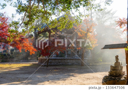 茨城県 福性寺の紅葉 茨城県 福性寺の紅葉 133647506