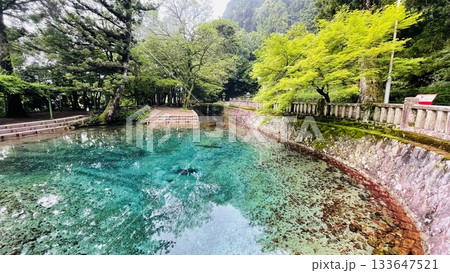 エメラルドに輝く美しい池 エメラルドに輝く美しい池 133647521