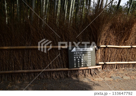日本の春の京都 嵐山周辺の街並み 観光名所の竹林の小径 沢山の竹に囲まれた神秘的な小道 日本の春の京都 嵐山周辺の街並み 観光名所の竹林の小径 沢山の竹に囲まれた神秘的な小道 133647792