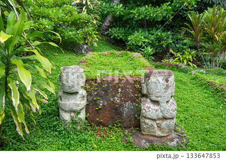 Ancient tikis guarding the queen's tomb in Puamau, Hiva Oa, Marquesas Islands, French Polynesia 133647853