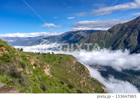 Colca Canyon with a clear blue sky, Peru Colca Canyon with a clear blue sky, Peru 133647865