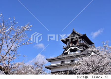 日本の愛知県の犬山市 春の犬山城と満開の桜 日本最古の国宝天守と美しい青空 日本の愛知県の犬山市 春の犬山城と満開の桜 日本最古の国宝天守と美しい青空 133647938