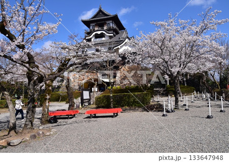 日本の愛知県の犬山市 春の犬山城と満開の桜 日本最古の国宝天守と美しい青空 日本の愛知県の犬山市 春の犬山城と満開の桜 日本最古の国宝天守と美しい青空 133647948