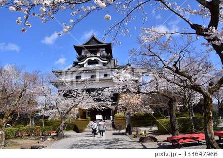 日本の愛知県の犬山市 春の犬山城と満開の桜 日本最古の国宝天守と美しい青空 日本の愛知県の犬山市 春の犬山城と満開の桜 日本最古の国宝天守と美しい青空 133647966