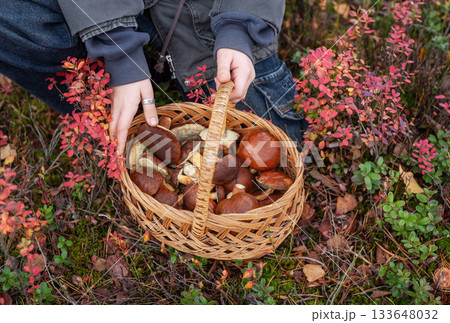 Person holding full basket of wild mushrooms in autumn forest 133648032