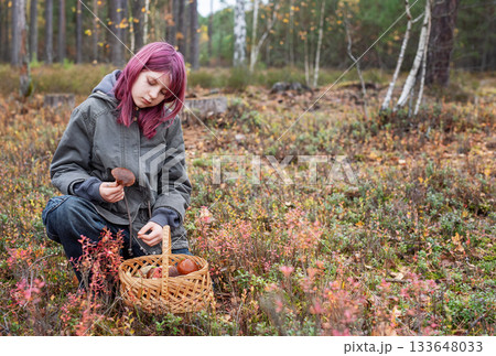 Girl foraging wild mushrooms in autumn forest Girl foraging wild mushrooms in autumn forest 133648033