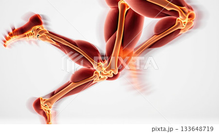 Running Leg Motion with Muscle Activation Gradient Running Leg Motion with Muscle Activation Gradient 133648719