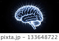 Luminous Brain with Radiating Neural Pathways in Cosmic Space 133648722