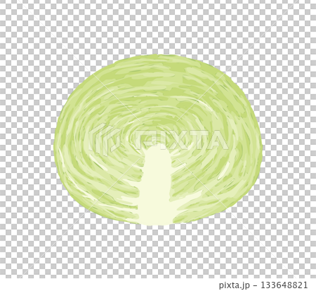 半分にカットしたキャベツのイラスト 半分にカットしたキャベツのイラスト 133648821