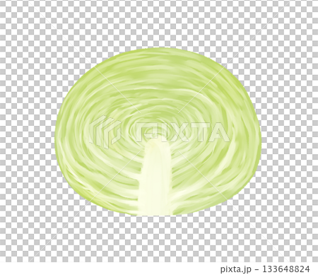 半分にカットしたキャベツのイラスト 133648824