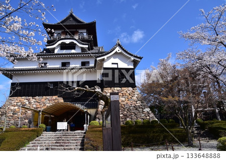 日本の愛知県の犬山市　春の犬山城と満開の桜　国宝天守と美しい青空　天守閣に上がり花見を楽しむ観光客 133648888