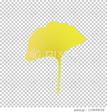黄色く色づいた銀杏の葉っぱイラスト 133649559