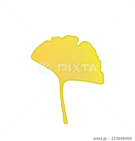 黄色く色づいた銀杏の葉っぱイラスト 黄色く色づいた銀杏の葉っぱイラスト 133649560