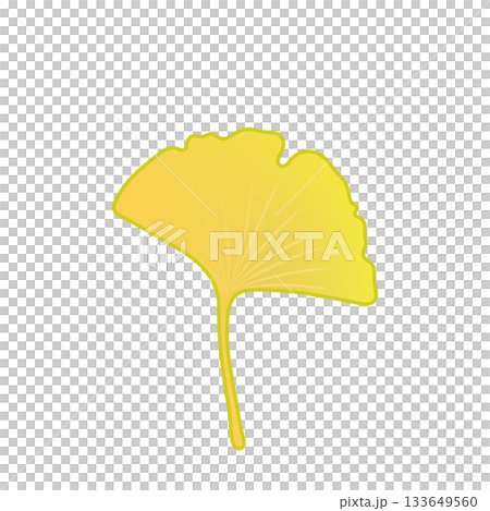 黄色く色づいた銀杏の葉っぱイラスト 黄色く色づいた銀杏の葉っぱイラスト 133649560