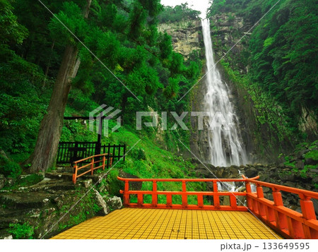 深緑に包まれた那智の滝を御滝拝所舞台から望む 深緑に包まれた那智の滝を御滝拝所舞台から望む 133649595