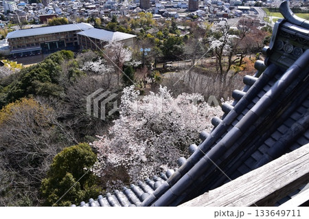 日本の愛知県の犬山市 春の犬山城と満開の桜 国宝の天守閣の最上階から見た展望 周辺の街並みや自然 日本の愛知県の犬山市 春の犬山城と満開の桜 国宝の天守閣の最上階から見た展望 周辺の街並みや自然 133649711