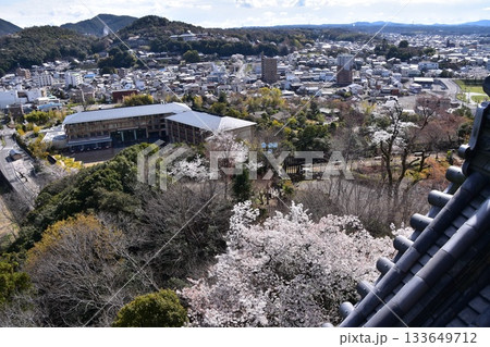 日本の愛知県の犬山市　春の犬山城と満開の桜　国宝の天守閣の最上階から見た展望　周辺の街並みや自然 133649712