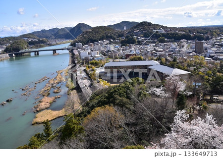 日本の愛知県の犬山市　春の犬山城と満開の桜　国宝の天守閣の最上階から見た展望　周辺の街並みや自然 133649713
