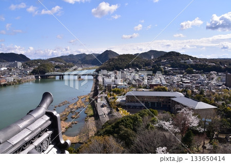 日本の愛知県の犬山市　春の犬山城と満開の桜　国宝の天守閣の最上階から見た展望　周辺の街並みや自然 133650414