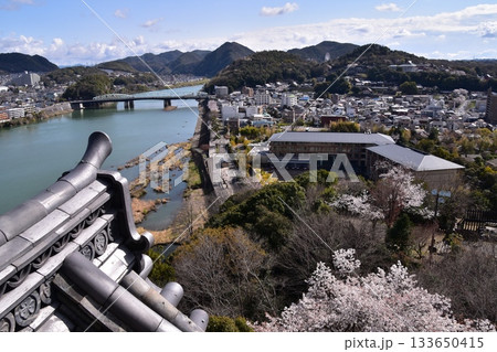 日本の愛知県の犬山市　春の犬山城と満開の桜　国宝の天守閣の最上階から見た展望　周辺の街並みや自然 133650415