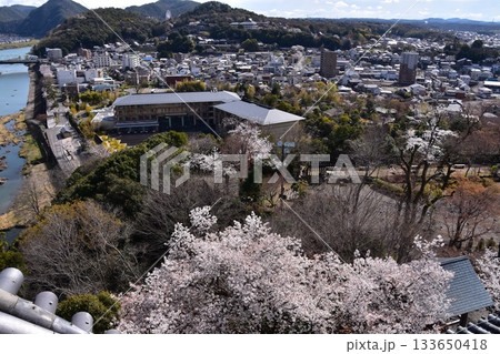 日本の愛知県の犬山市 春の犬山城と満開の桜 国宝の天守閣の最上階から見た展望 周辺の街並みや自然 日本の愛知県の犬山市 春の犬山城と満開の桜 国宝の天守閣の最上階から見た展望 周辺の街並みや自然 133650418