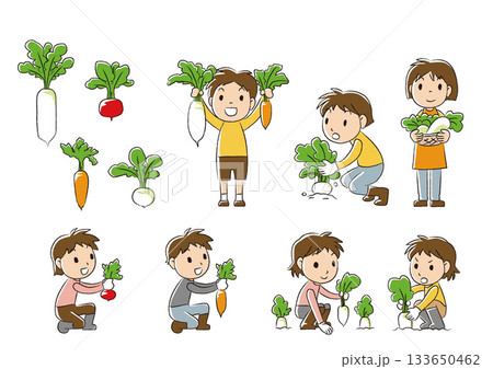 野菜収穫 133650462
