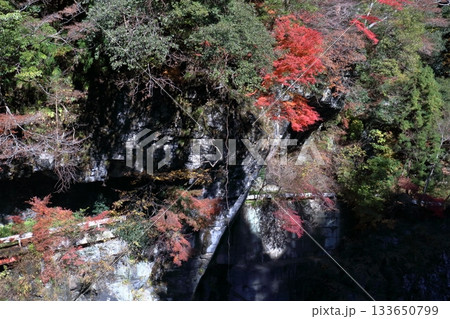 高藪第一隧道の景観　奥吉野渓谷　（高知県　いの町） 133650799