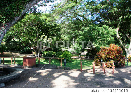 グアム　ハガニア　ラッテストーン公園 133651016