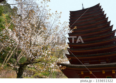 春の談山神社 133651322
