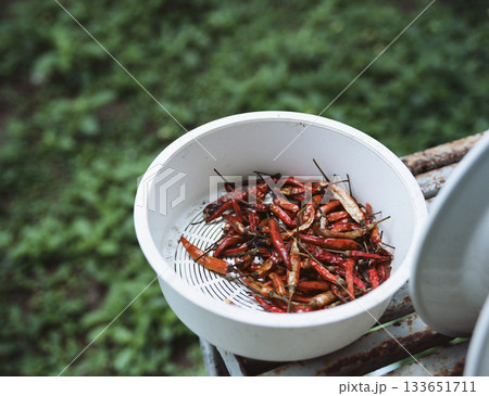 皿に入れて乾燥させた唐辛子 133651711