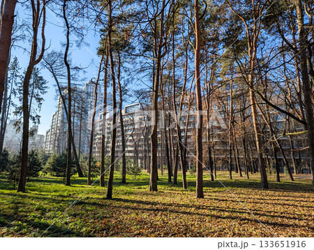 residential complex in an autumn park residential complex in an autumn park 133651916