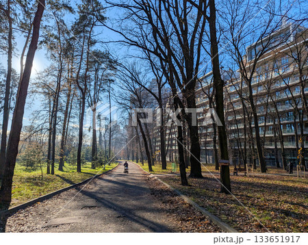 A road in an autumn park, next to a residential complex, pedestrians walking along the path A road in an autumn park, next to a residential complex, pedestrians walking along the path 133651917