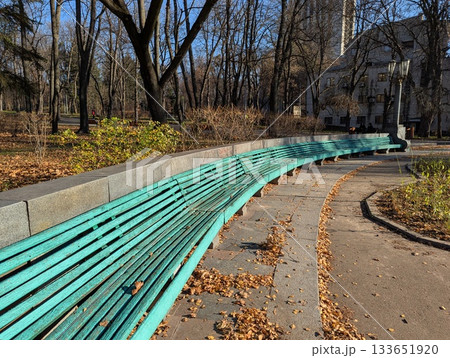 Wooden benches in a sunny autumn park 133651920