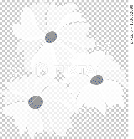 Large white flowers on dark blue background. Fantasy floral pattern. Greeting card design of spring flower. Monochrome blue decor without text Large white flowers on dark blue background. Fantasy floral pattern. Greeting card design of spring flower. Monochrome blue decor without text 133652099