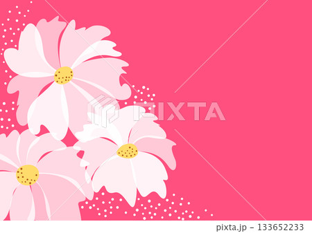 Large white translucent flowers on pink background. Fantasy floral vector pattern. Greeting card design of spring flower without text 133652233