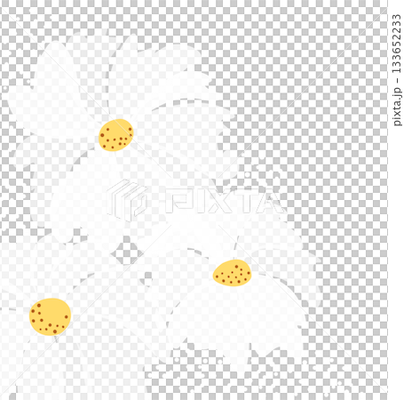 Large white translucent flowers on pink background. Fantasy floral vector pattern. Greeting card design of spring flower without text 133652233
