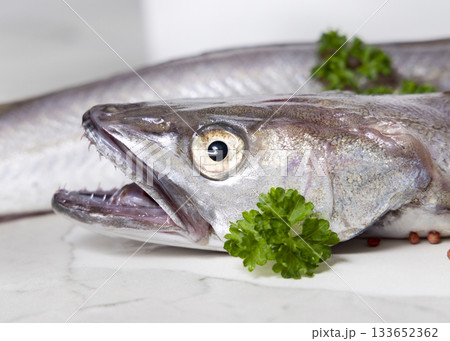 Fresh European hake fish on marble table with parsley, Raw uncooked Merluccius close-up 133652362