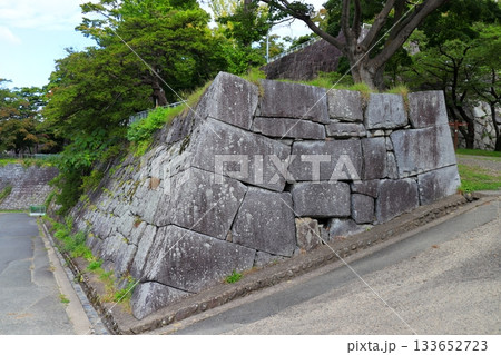 盛岡城跡公園 本丸・二ノ丸・三の丸の風景《岩手》 盛岡城跡公園 本丸・二ノ丸・三の丸の風景《岩手》 133652723