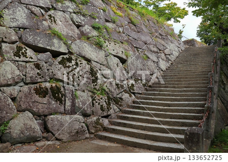 盛岡城跡公園 本丸・二ノ丸・三の丸の風景《岩手》 盛岡城跡公園 本丸・二ノ丸・三の丸の風景《岩手》 133652725
