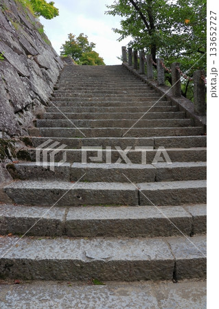 盛岡城跡公園 本丸・二ノ丸・三の丸の風景《岩手》 133652727