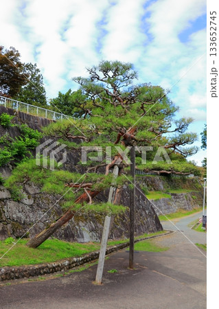 盛岡城跡公園 本丸・二ノ丸・三の丸の風景《岩手》 133652745