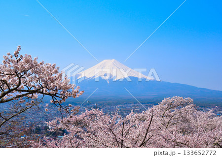 春　桜　富士山　富士吉田市街 133652772