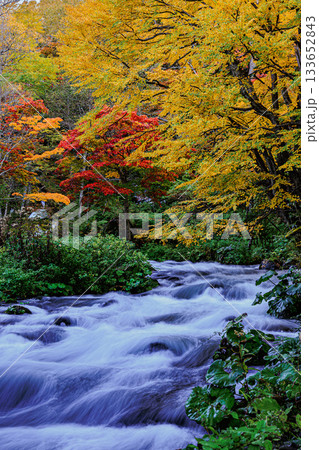 秋の阿寒湖滝見橋｜流れと紅葉がつくる日本の絶景 133652843