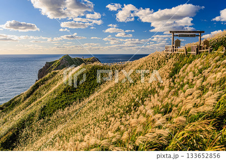 黄金色のススキと神威岬・女人禁制の門｜北海道の絶景 133652856