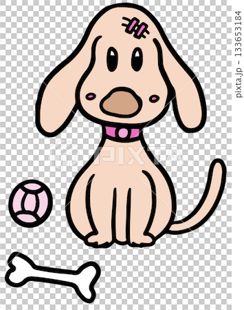 Cute hand drawn illustration of puppy with ball and bone for decoration, dog cartoon, characters, comic, pet shop, vet, adopt and rescue animal, foster home, shelter, house, home, park, yard, playtime Cute hand drawn illustration of puppy with ball and bone for decoration, dog cartoon, characters, comic, pet shop, vet, adopt and rescue animal, foster home, shelter, house, home, park, yard, playtime 133653184